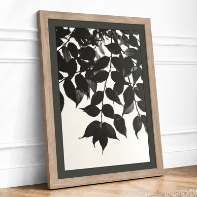 Hanging Study Botanical - Print