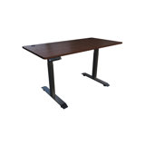 Premium Electric Standing Desk - 55"L x 27.5"W