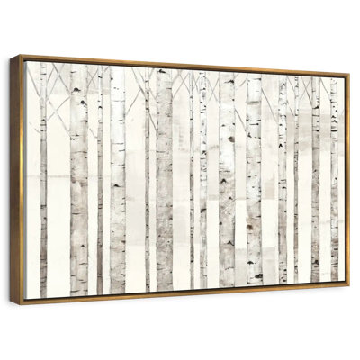Birch Trees On White