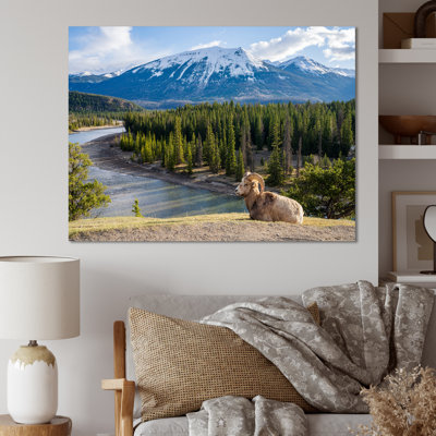 Faune sauvage, paysage de l'Alaska II