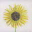 Sun Flower Fun Painting by JP Kilkenny-65037875