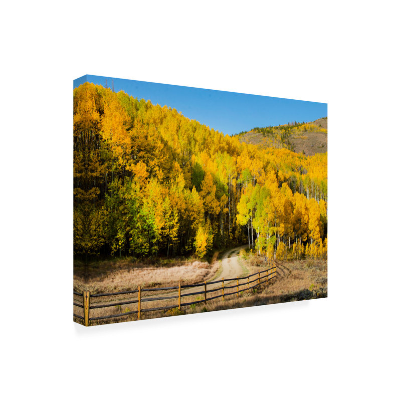Art sur toile Kent Flora Autumn Lane, H 18 po x l 24 po
