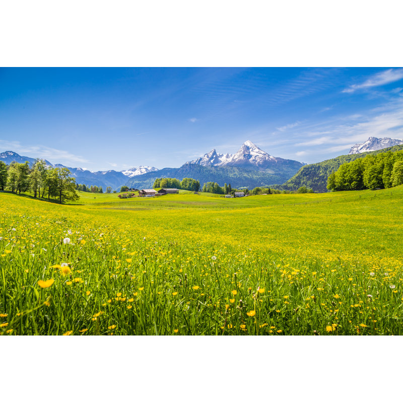 Alps With Green Meadows - Wrapped Canvas Print, 51cm H x 76cm W