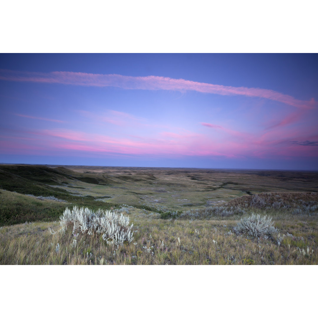 Grasslands National Park von Mysticenergy - Leinwanddrucke