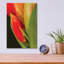 "Amaryllis" par Pamela Plummer-692713281