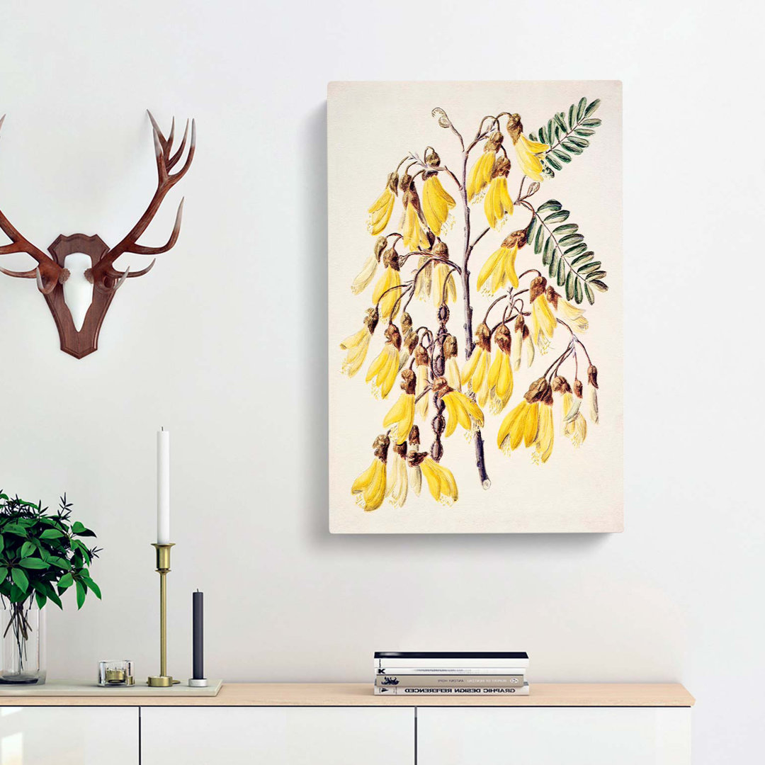 Kowhai Flowers by Sarah Featon - Wrapped Canvas