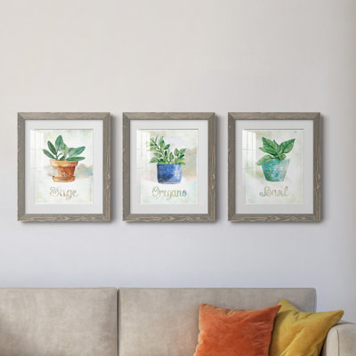 Basilic en pot - ensemble de 3 cadres photo