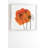 " Orange Poppies " by Morgan Kendall-22036951-22036907