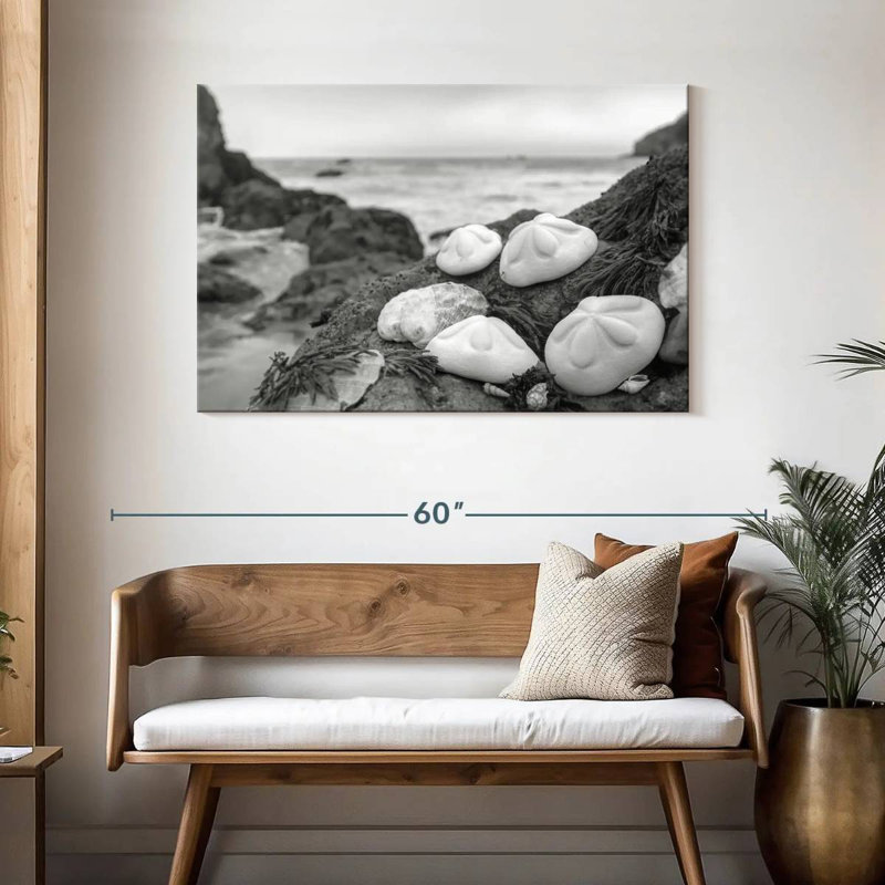 White Crescent Beach Shells IV, 30" H x 45" W