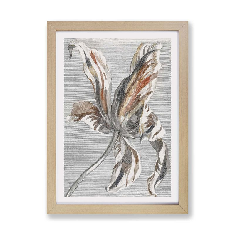 Tulip Flower - Framed Print, 45cm H x 63cm W x 2cm D, Oak