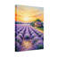 Paysage et nature, champ de lavande, coucher de soleil-56580798