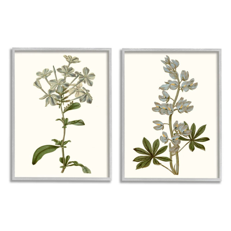 Étude illustrée rétro de fleurs botaniques bleues par Curtis - ensemble de 2 impressions d'art graphique, H 14 po x l 11 po