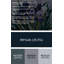 Art mural sur toile Botanical Iris-1148176661