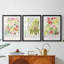 Affiche d'exposition Botanica I - reproduction sur mesure encadrée de qualité supérieure - 3 pièces