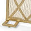  Pare-étincelles moderne, conception ovale à panneau unique avec maille durable pour une protection élégante du foyer et une élégante décoration de salon, doré