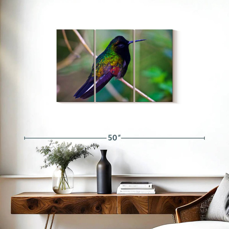 Colibri à ventre noir Brampt, H 20 po x l 33 po