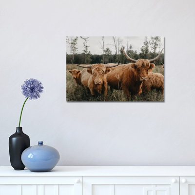 Highland Cow Herd par Chelsea Victoria - photographie sur toile tendue