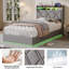 Lift Up Storage Bed Frame-34888026-34888039