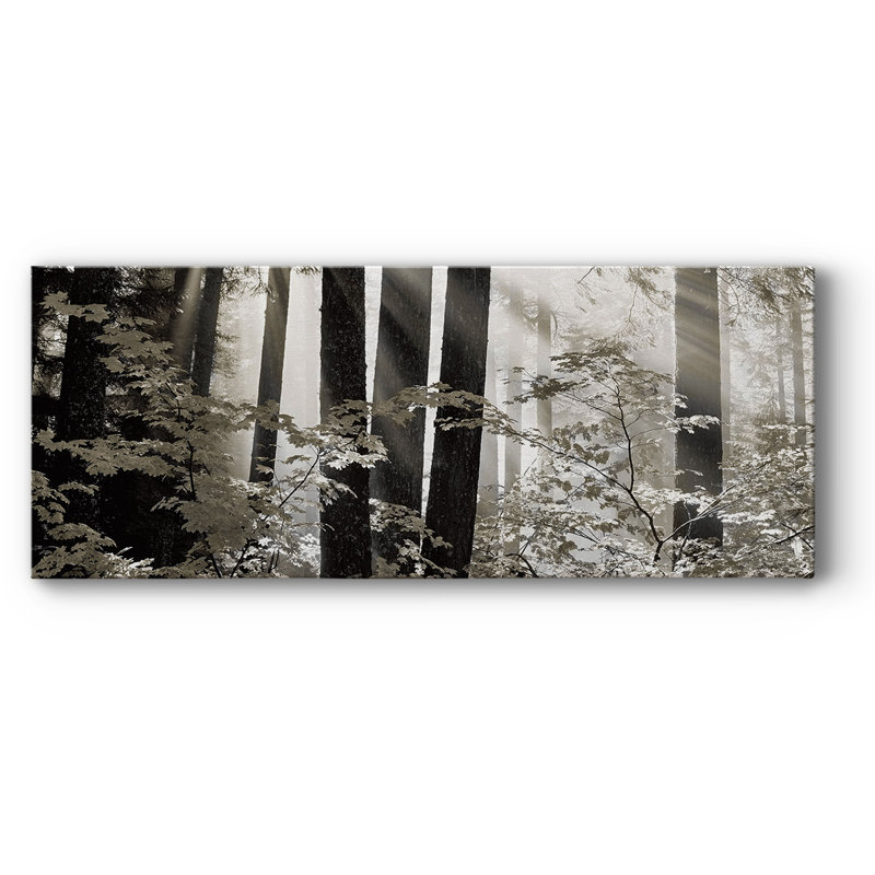Misty Forest - Photographie sur toile tendue, H 20 po x l 50 po x P 1,5 po