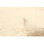 Sienna Cream Rug 5'3" x 7'5"