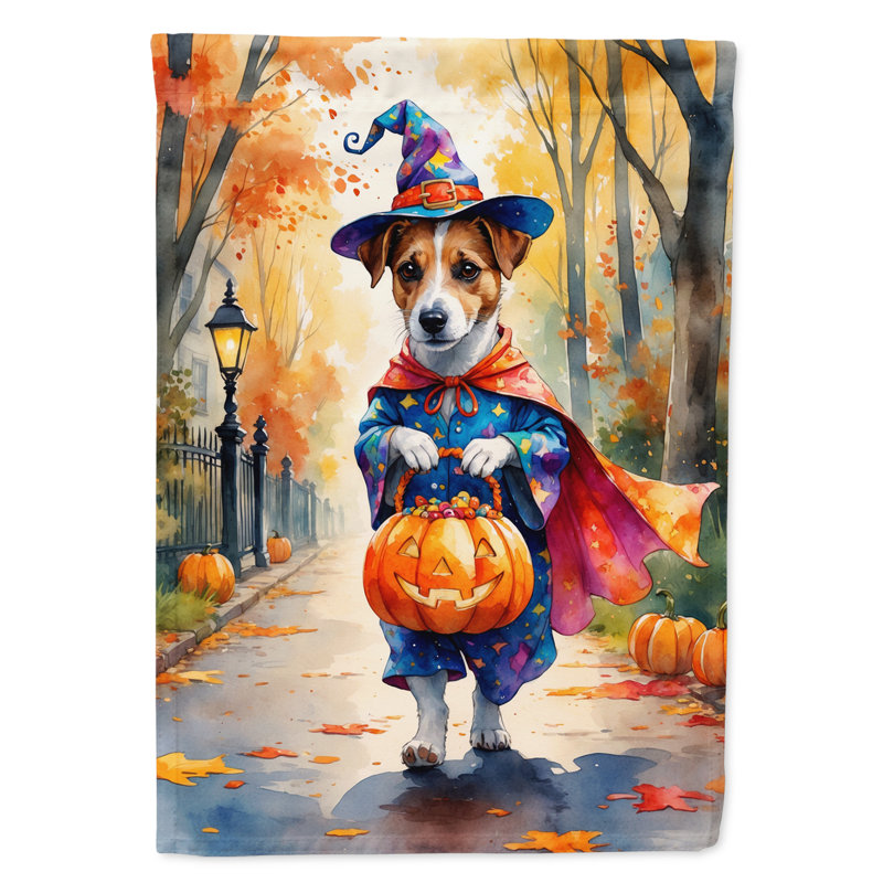 Drapeau de maison Weimaraner, Jack Russell terrier