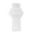 Jameia Matte White Decorative Ceramic Table Vase