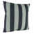 Sunbrella Expressive Mist Striped