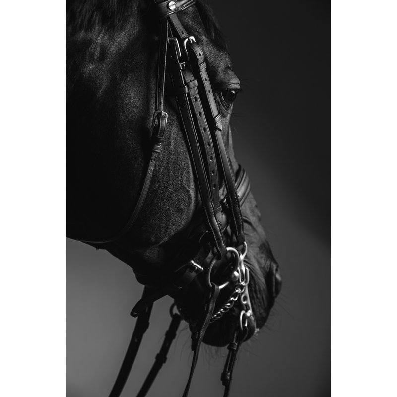 Esben Horse Wearing Saddle - Wrapped Canvas Print, 46cm H x 30cm W x 3.8cm D