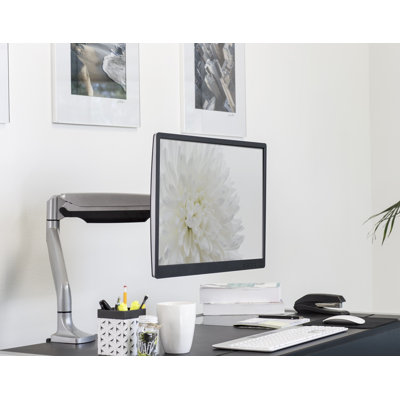Monitor Height Adjustable Desk Mount