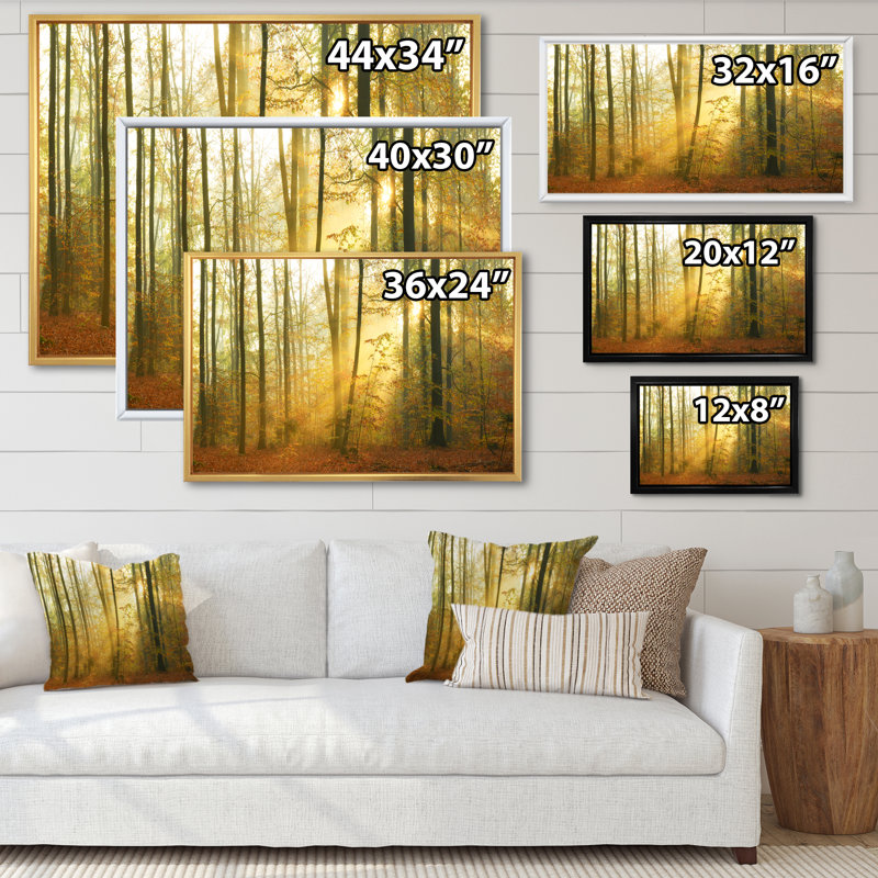 «Autumn Morning Forest», reproduction d'art sur toile traditionnelle, H 8 po x l 12 po x P 1 po, Cadre flottant blanc