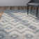 Nanticoke Geometric Hand Woven Indoor / Outdoor Area Rug