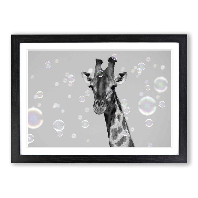 Giraffe Through the Bubbles - Picture Frame Graphic Art Print, 48cm H x 65cm W x 2cm D, Black Framed
