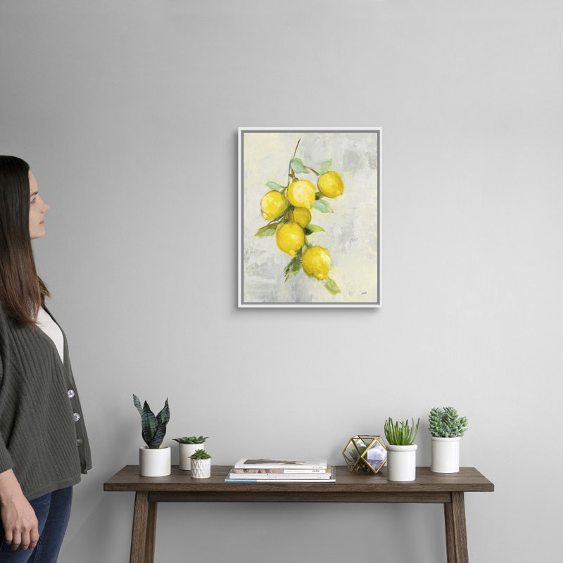 «Zest I» par Julia Purinton, reproduction d'art sur toile, Cadre flottant blanc, H 22 po x l 18 po x P 1,75 po