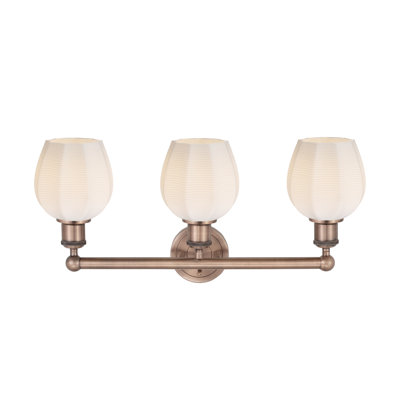3 - Light Dimmable Vanity Light