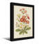 Arrangement floral de plantes et de fleurs avec des fleurs roses et blanches-537599912-537599915-537599927