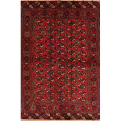 Indoor Rug