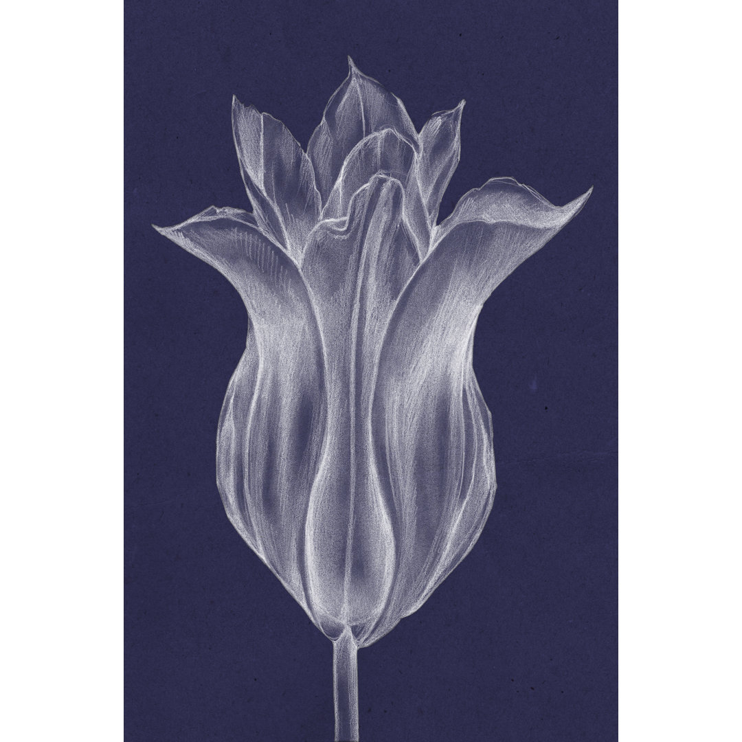 Monochrome Tulip III by Jennifer Goldberger - Wrapped Canvas Painting