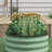 Sairah Metal Raised Garden Bed-143258494-197957091