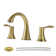 Widespread 2-handle Bathroom Faucet with Drain Assembly