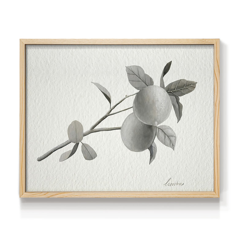 Limonero II - Reproduction encadrée - Restickable, H 8 po x l 10 po, Naturel