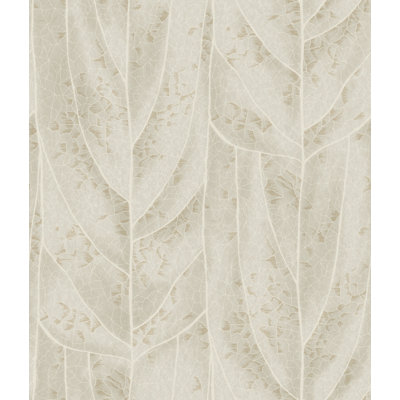 Papier peint Dicot