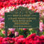 What is a Weed Garden Lawn Plaque-922114516-922114514
