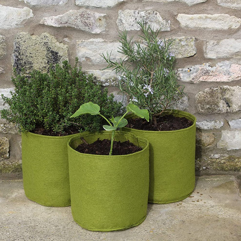 Arionah Pot Planter
