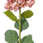 Tige d'Hortensia Milnor-257838447