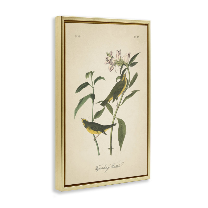 Toile flottante rétro encadrée par Wild Apple, Cadre flottant métallique doré, H 25 po x l 17 po