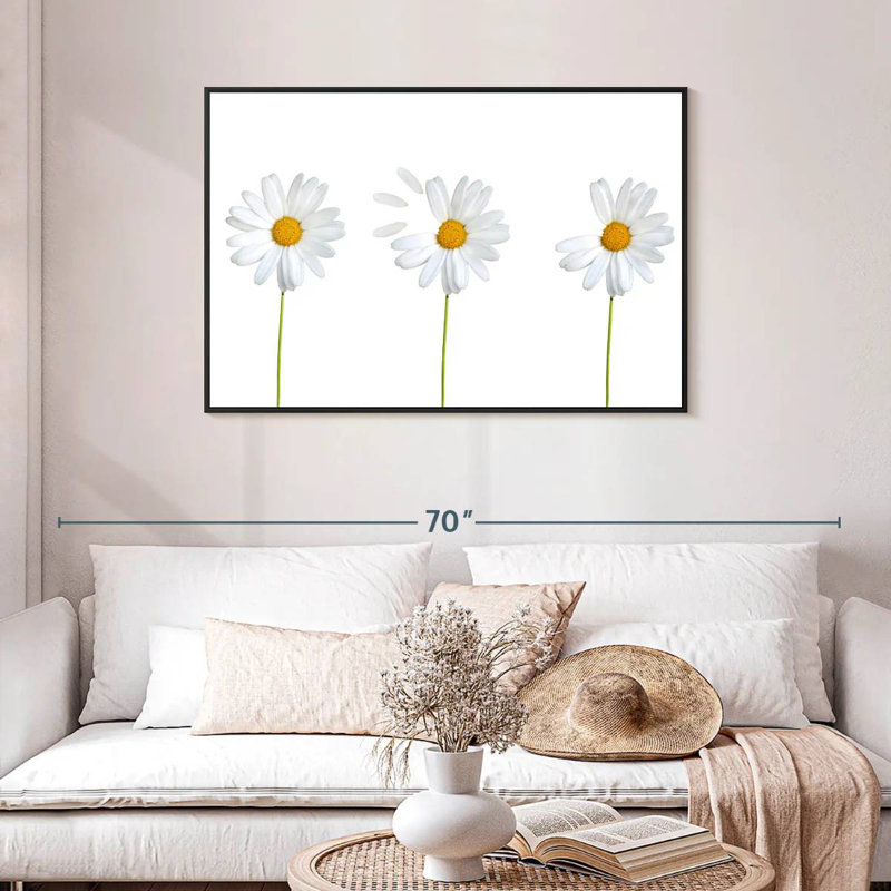 Marguerites plumées, Cadre flottant noir, 43 po x 29 po
