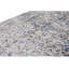 Oriental Area Rug