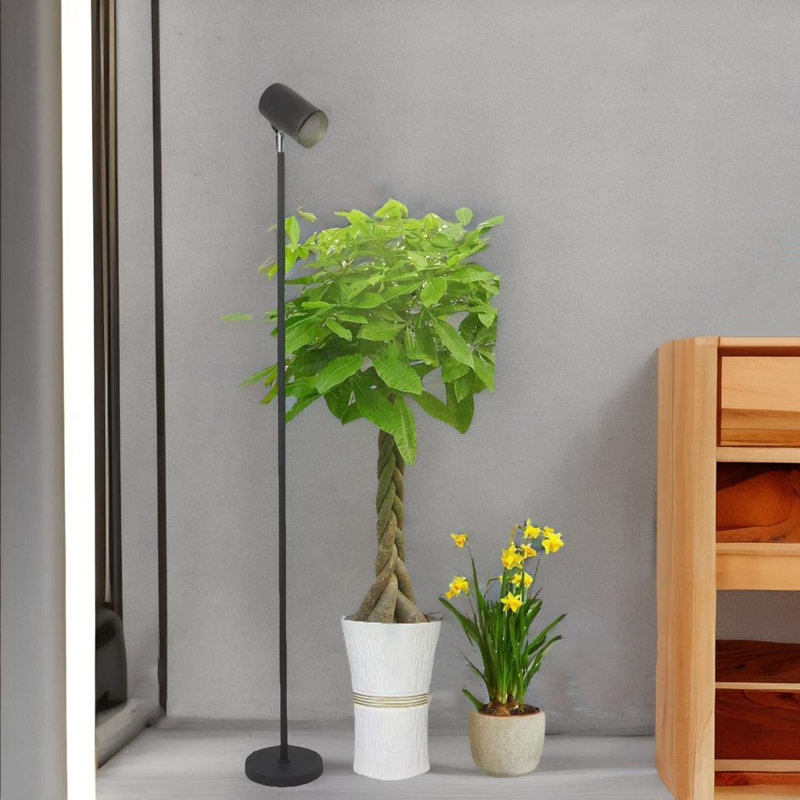 Iuza 75'' LED Task Floor Lamp