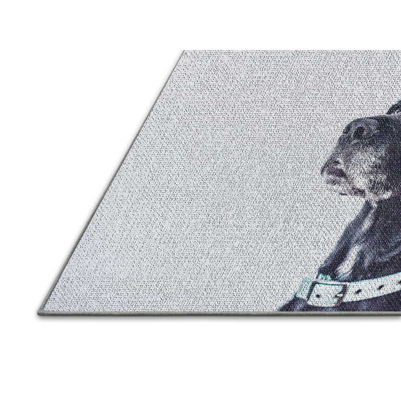 Tapis gris Dog 25, Rectangle 5 pi x 7 pi
