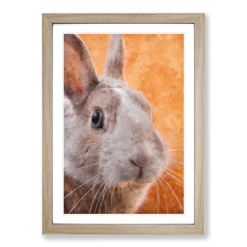 Bunny Rabbit in Colour - Picture Frame Graphic Art, Oak Framed, 36cm H x 27cm W x 2cm D